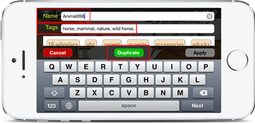 Rename, Duplicate and Add tags